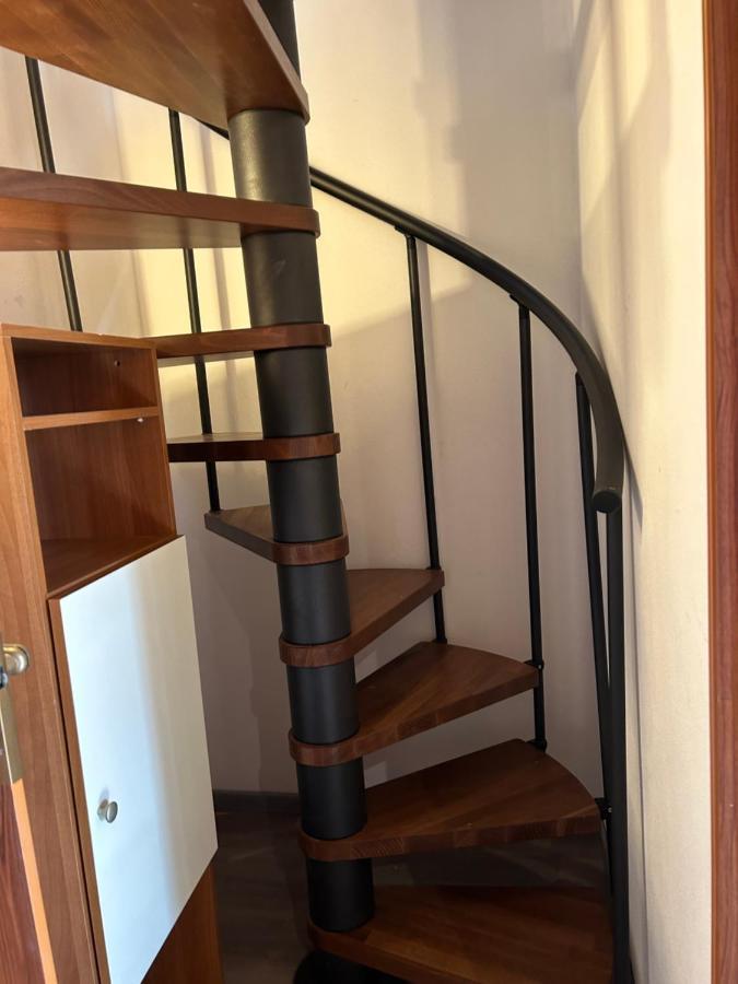 Casa Malva Appartamento Marisa Ed Appartamento Bouganville Cossogno Eksteriør billede